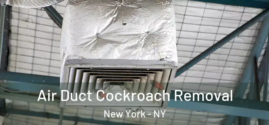 Air Duct Cockroach Removal New York - NY