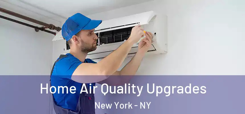  Home Air Quality Upgrades New York - NY