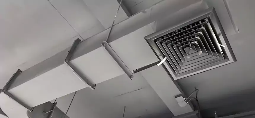 Restorative Allergy Relief Vent Cleaning – Coil, Blower & Housing Detail in New York