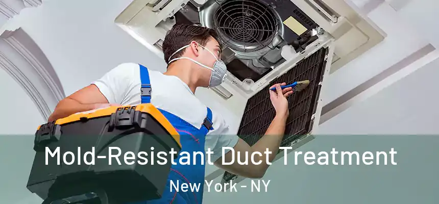  Mold-Resistant Duct Treatment New York - NY
