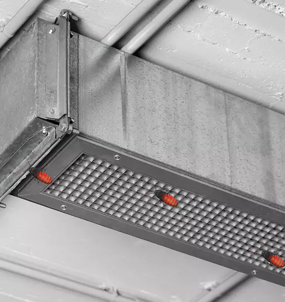 About Air Duct Cockroach Removal in New York, NY