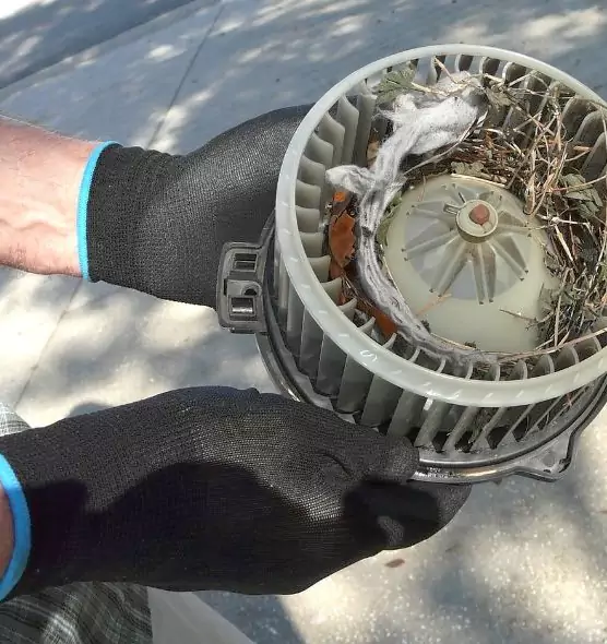 About Air Duct Rat Removal in New York, NY