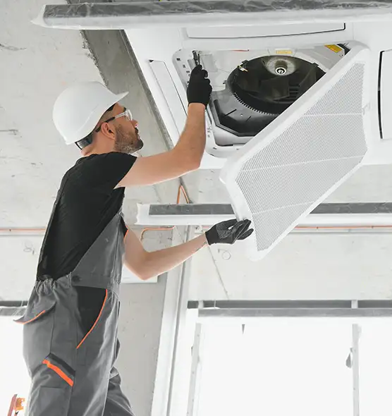 About Air Duct Rodent Removal in New York, NY