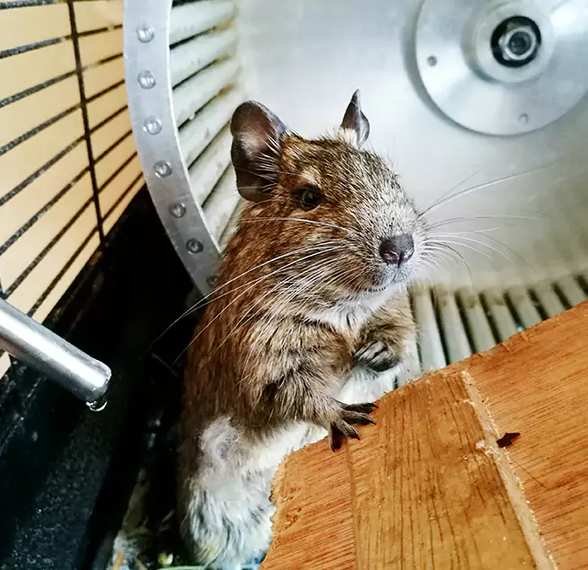 Why Homeowners & Businesses Trust Us New York, NY?