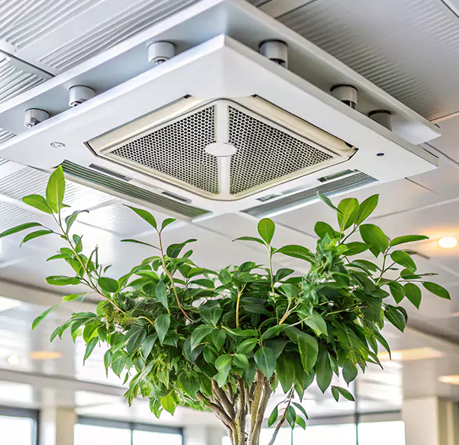 Why Homeowners & Businesses Trust Us in New York, NY?