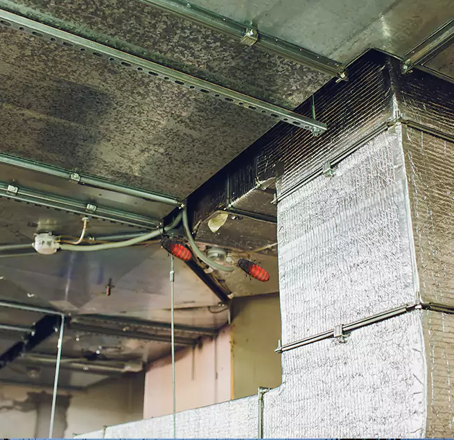 Why Homeowners & Businesses Trust Us New York, NY?