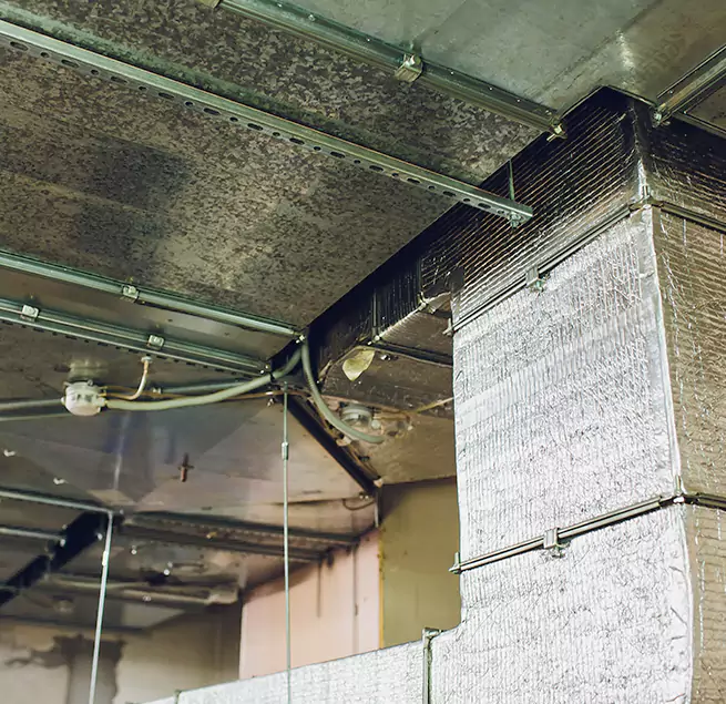 Why Homeowners & Businesses Trust Us in New York, NY?